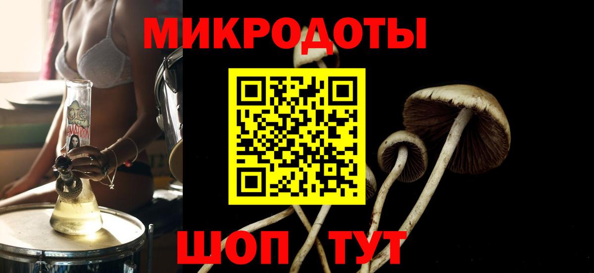 Галлюциногенные грибы GOLDEN TEACHER Среднеуральск