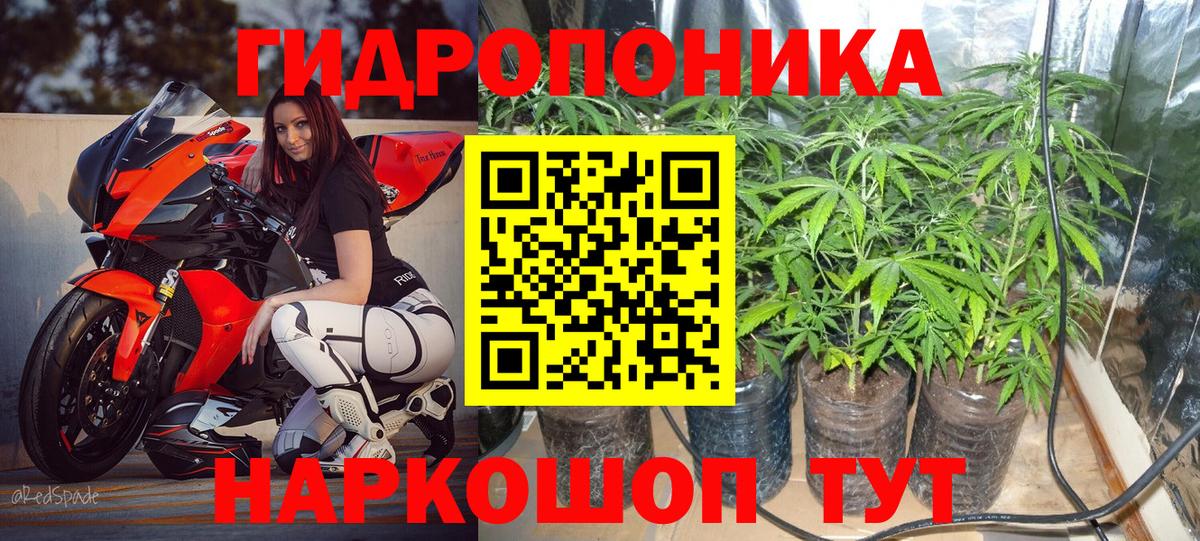 Бошки марихуана тримм  Вход с VPN  МАРИХУАНА OG Kush  Среднеуральск  Канабис гибрид 